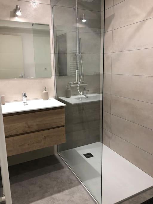 Appartement Moderne & Lumineux 40M2 Centre Luxeuil Eksteriør billede