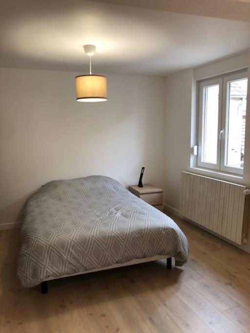 Appartement Moderne & Lumineux 40M2 Centre Luxeuil Eksteriør billede