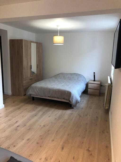 Appartement Moderne & Lumineux 40M2 Centre Luxeuil Eksteriør billede