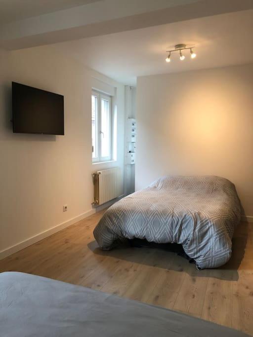 Appartement Moderne & Lumineux 40M2 Centre Luxeuil Eksteriør billede